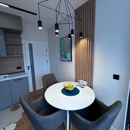 Free Private Garage Stylish Near Center شقة